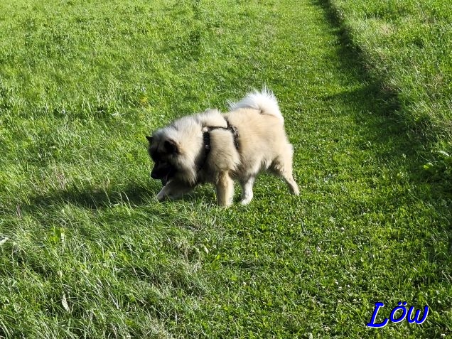 3.8.2025 - In Position bringen